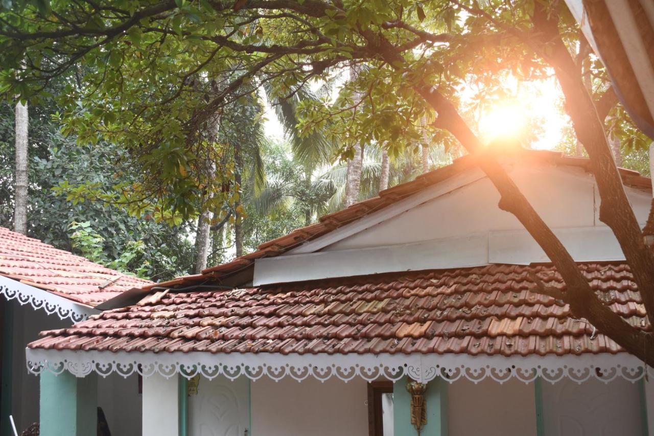 Casa Happy Dervish, 2Mins Away From The Beach 안주나 외부 사진